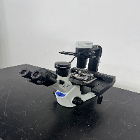 Olympus CKX53 Inverted Microscope image 1